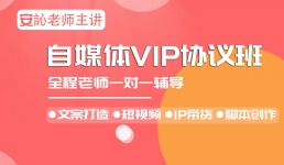 2020全过程自媒体VIP协议班