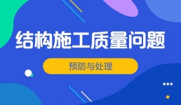 结构施工质量问题预防与处理